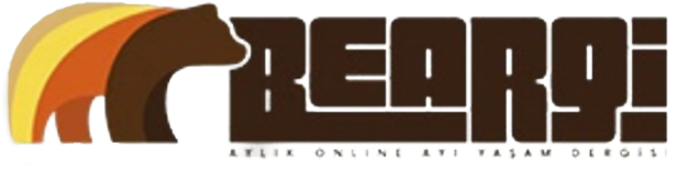 Beargi Magazine Logo